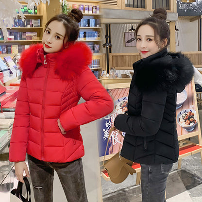 Short Down Padded Jacket With Detachable Hood