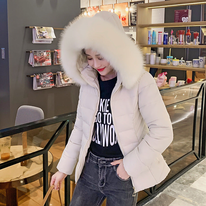 Short Down Padded Jacket With Detachable Hood