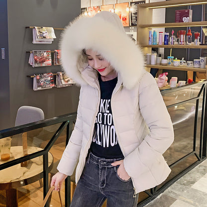 Short Down Padded Jacket With Detachable Hood